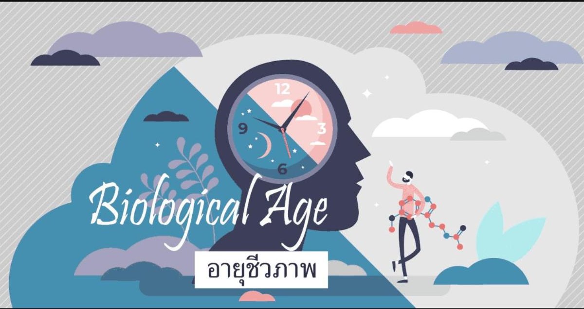อายุชีวภาพคืออะไร? และสำคัญอย่างไร?