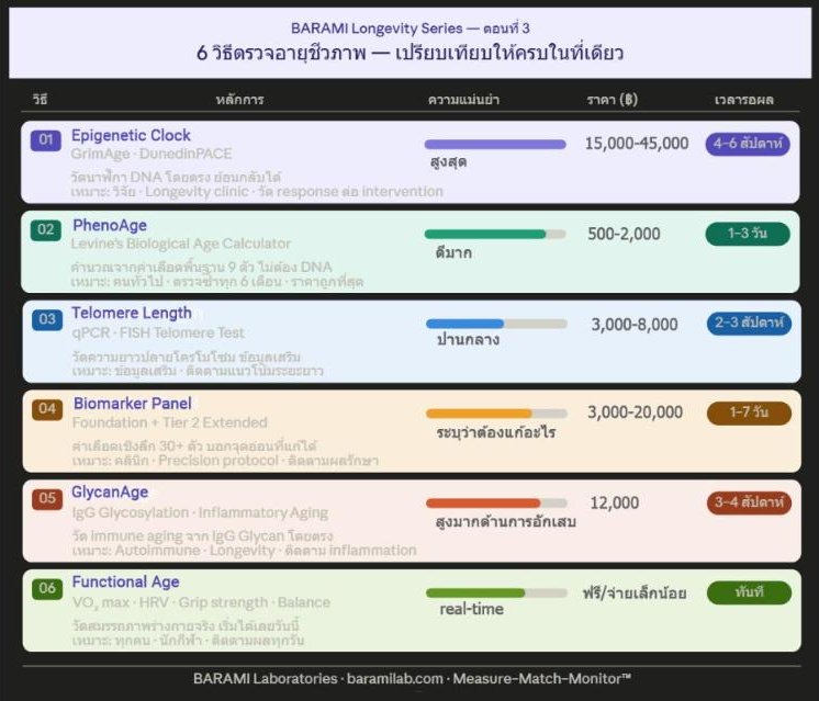 ตรวจอายุชีวภาพได้กี่วิธี? แต่ละแบบบอกอะไร? และแม่นยำแค่ไหน?