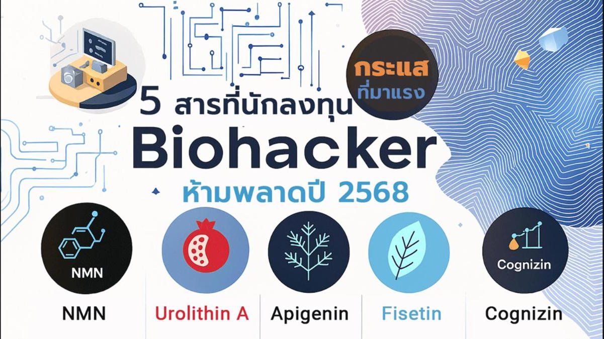 5 สารที่นักลงทุนสาย Biohacker ห้ามพลาด ปี 2568