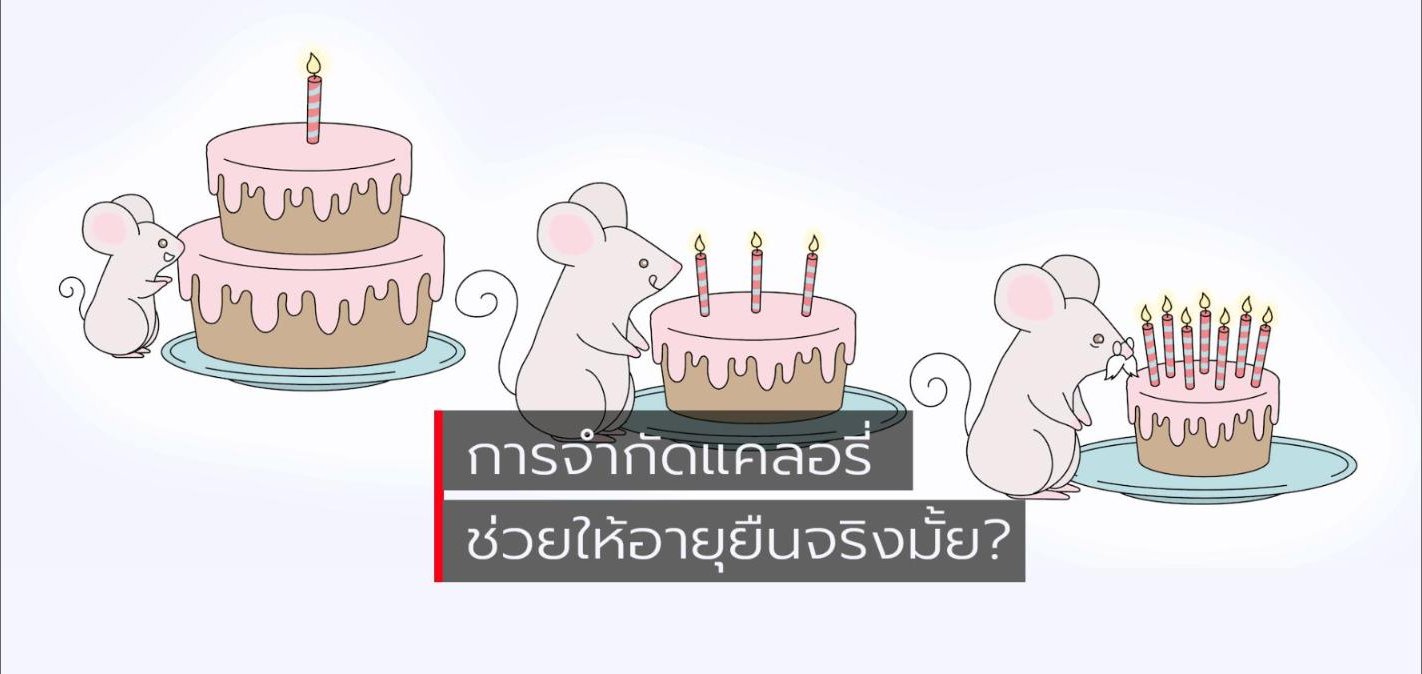 การจำกัดแคลอรี่ (Caloric Restriction) ช่วยให้อายุยืนจริงมั้ย?