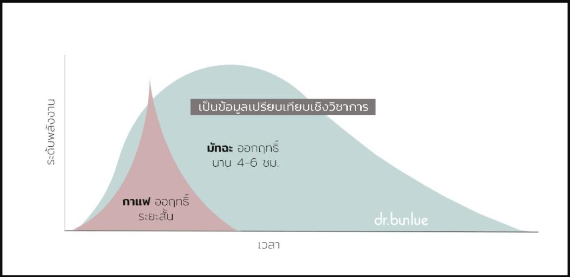 มัทฉะ คืออะไร? ... ต่างจากกาแฟอย่างไร?