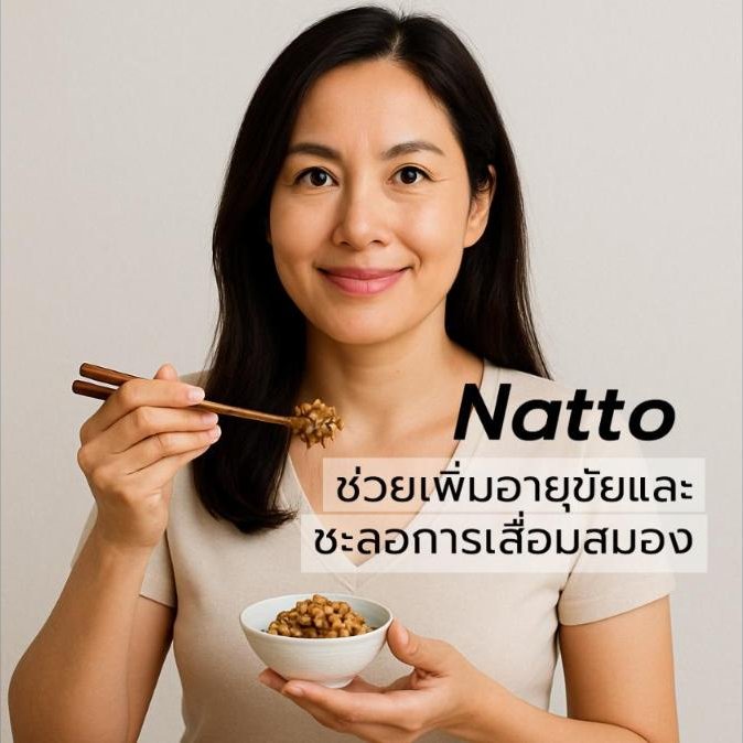 ถั่วหมัก Natto - Prebiotics ใหม่ล่าสุด ที่ช่วยเพิ่มอายุขัยและชะลอการเสื่อมสมอง