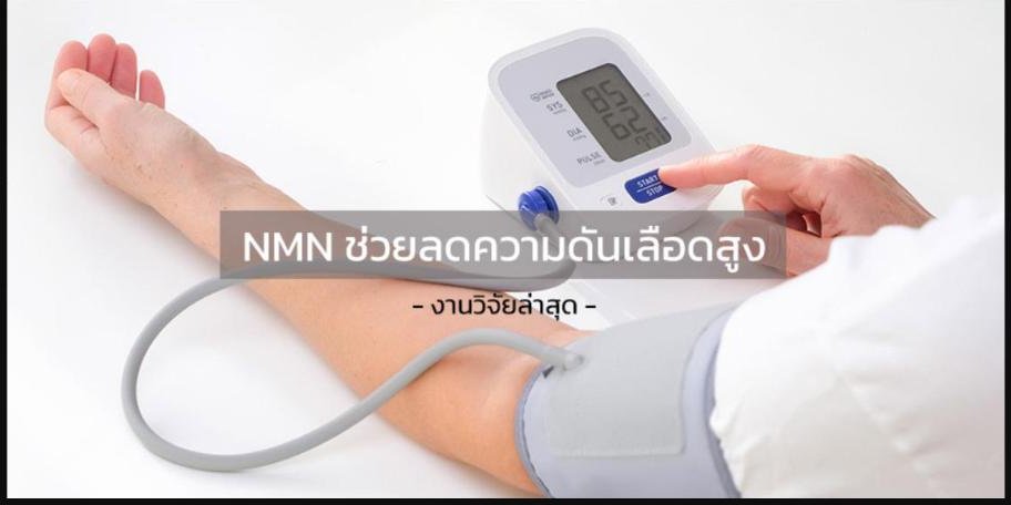งานวิจัยล่าสุด - NMN ช่วยลดความดันเลือดได้!