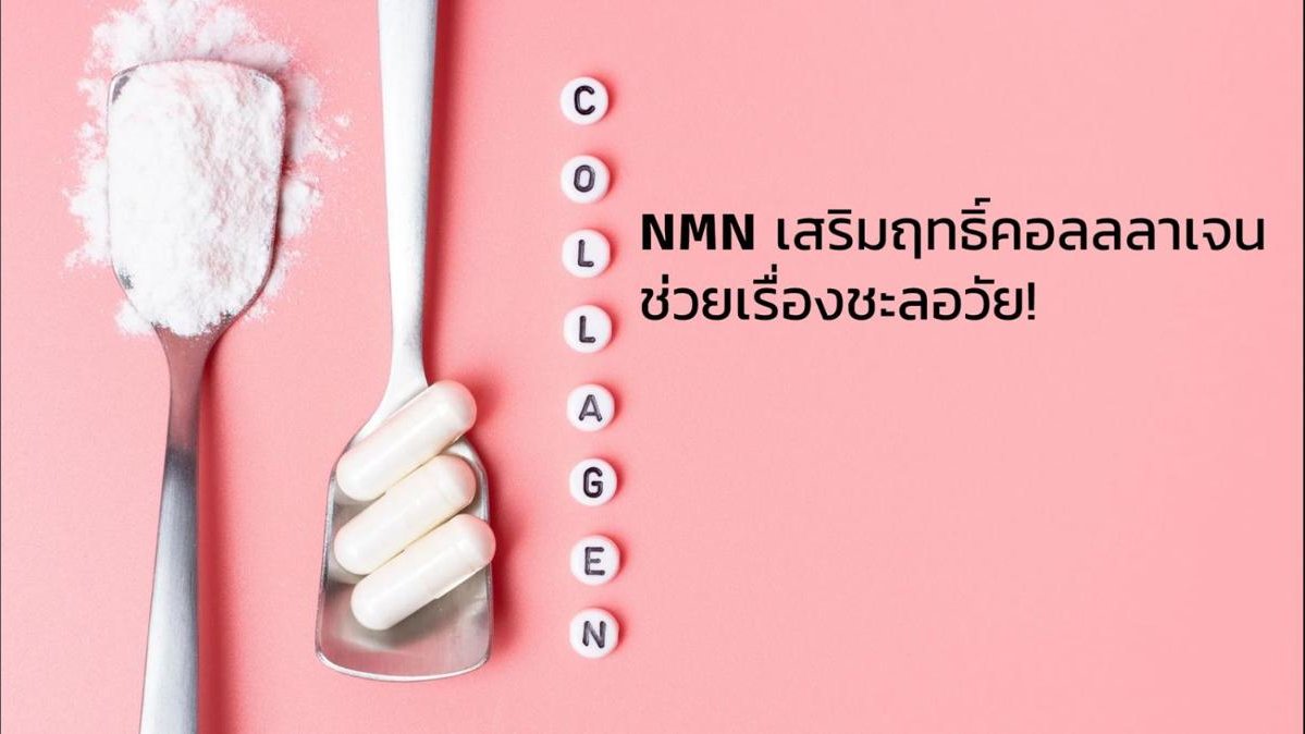 Nicotinamide Mononucleotide (NMN) เสริมฤทธิ์คอลลลาเจน ช่วยเรื่องชะลอวัย!