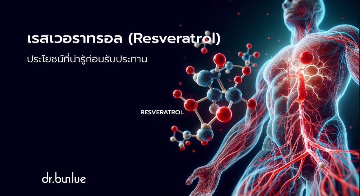 เรสเวอราทรอล (Resveratrol) ประโยชน์ที่น่ารู้ก่อนรับประทาน