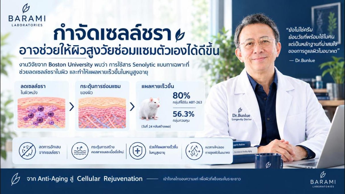 การกำจัดเซลล์ชรา - Senescent cells ออกจากผิวได้ ช่วยให้ผิวกลับมาซ่อมตัวเองได้?