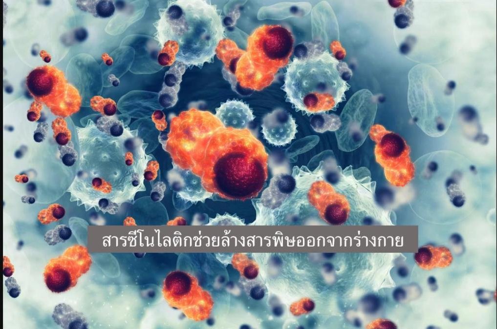 สารซีโนไลติกช่วยล้างสารพิษออกจากร่างกาย