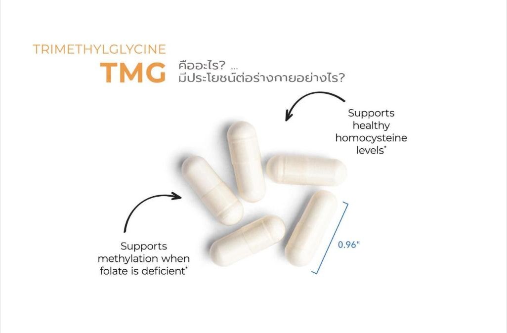 TMG / Trimethylglycine/ Betaine คืออะไร? ... มีประโยชน์ต่อร่างกายอย่างไร?