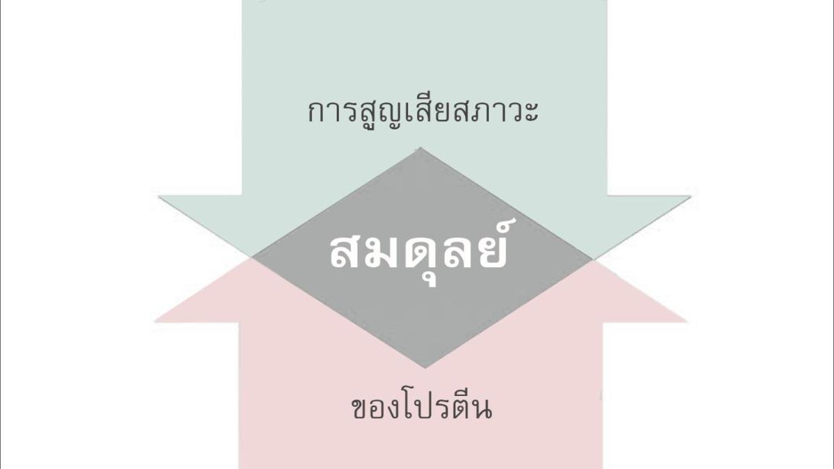 ทำไมเราถึงแก่ชรา? (ตอนที่ 3/12) ... การสูญเสียสภาวะสมดุลย์ของโปรตีน (Loss of Proteostasis)