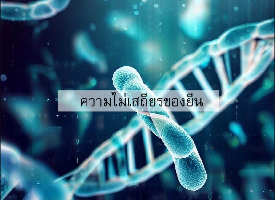 ทำไมเราถึงแก่ชรา? (ตอนที่ 5/12) ... ความไม่เสถียรของยีน (Genomic Instability)