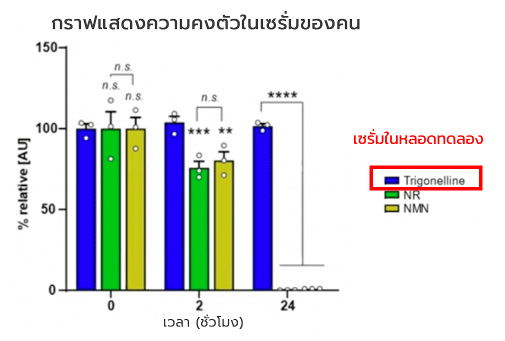 Trigonelline มีความเสถียรในซีรั่มของมนุษย์มากกว่า NR และ NMN