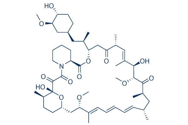 rapamycin structure