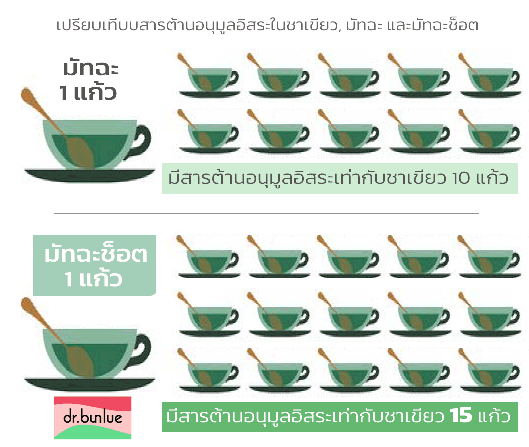 มัทฉะ คืออะไร ต่างจากกาแฟอย่างไร - เทียบชาเขียว