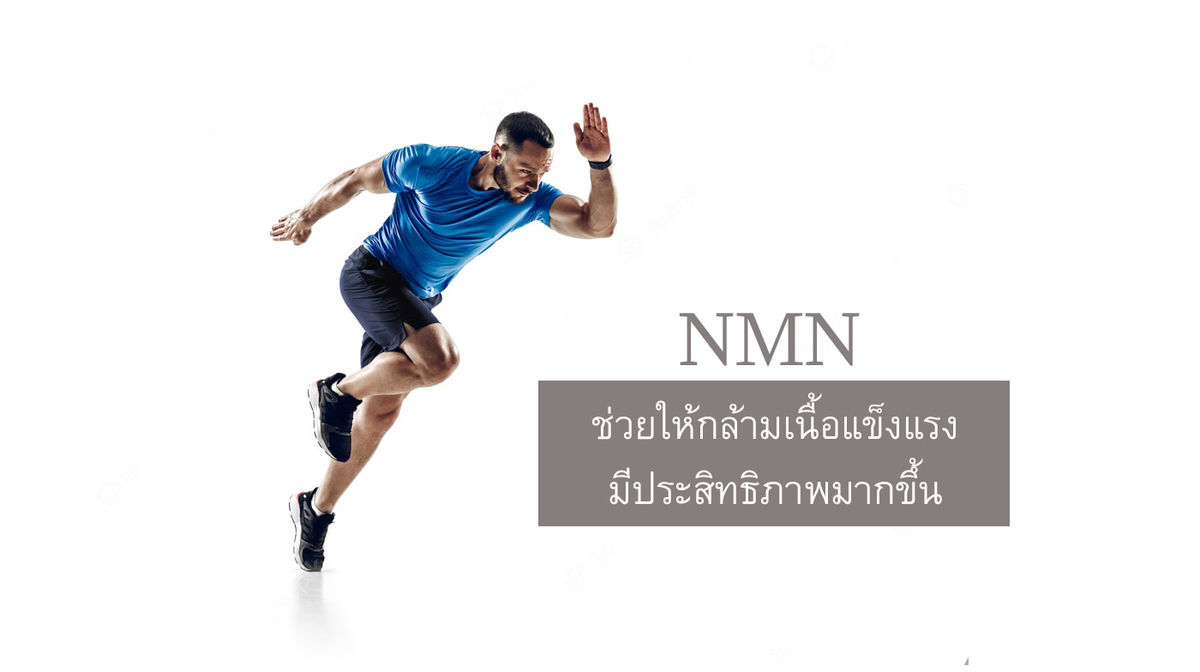 NMN ช่วยให้กล้ามเนื้อมีความแข็งแรงขึ้น และมีประสิทธิภาพมากขึ้น